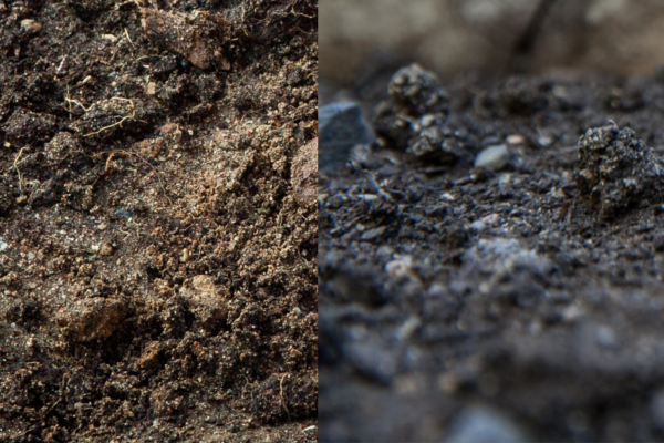 Difference Between Topsoil and Garden Soil