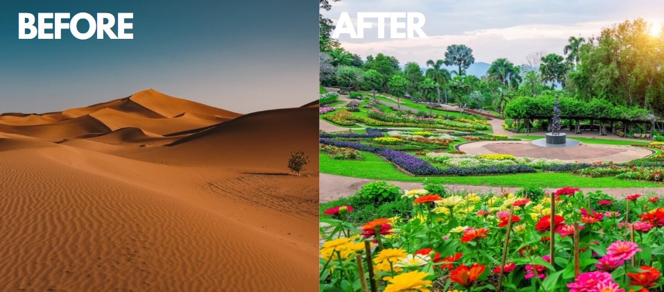 High Desert Gardening Tips: How to Grow a Beautiful Garden in Arid Climates
