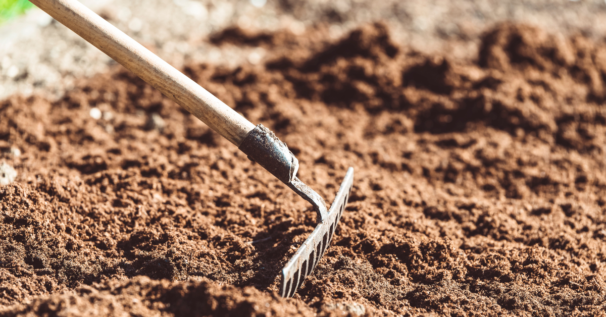 How to Prepare Garden Soil for Next Year